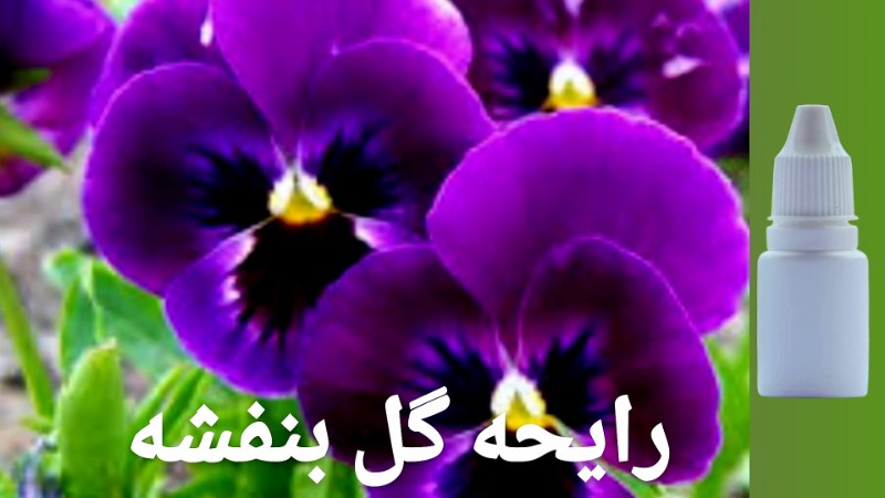 رایحه گل بنفشه - محصول