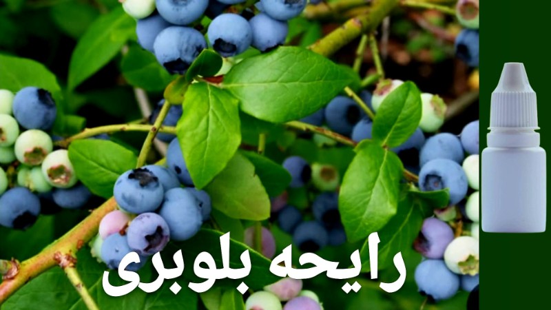 رایحه بلوبری - محصول