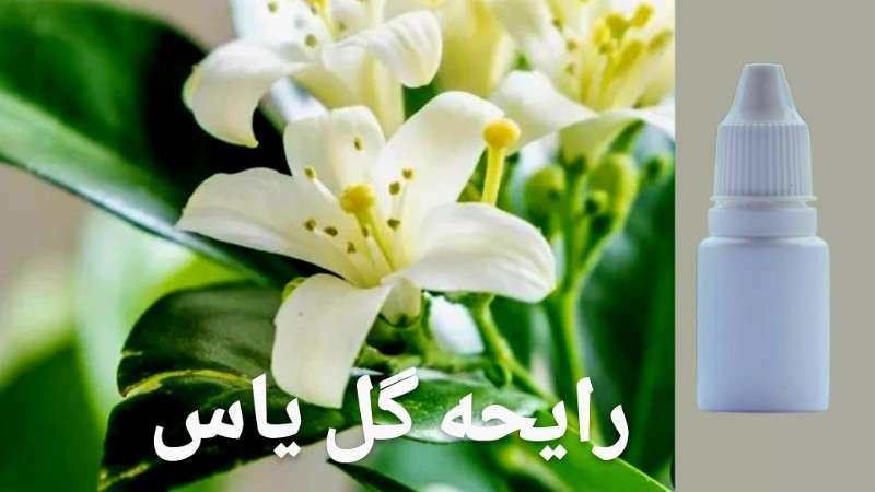 رایحه گل یاس - محصول - تصویر 1